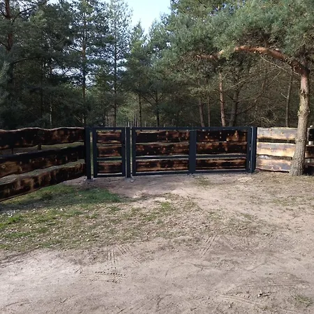 度假居 Swietna Nad Jeziorem