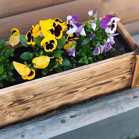 Swietna Nad Jeziorem 度假居 *