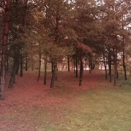 Swietna Nad Jeziorem * Swietne