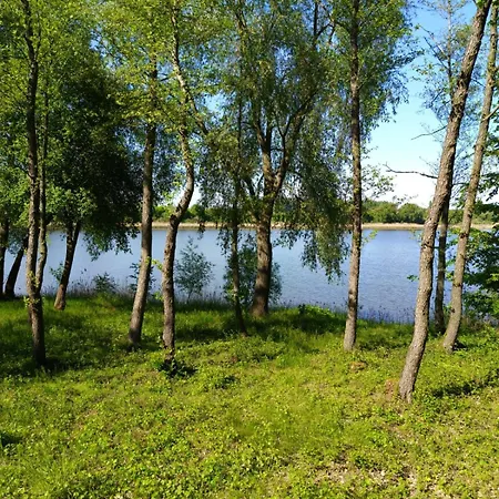 Swietna Nad Jeziorem * Swietne