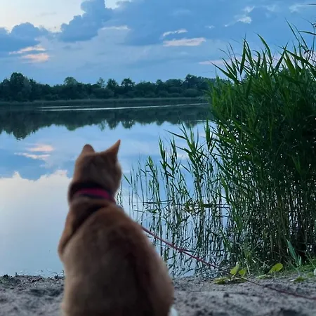 Swietna Nad Jeziorem