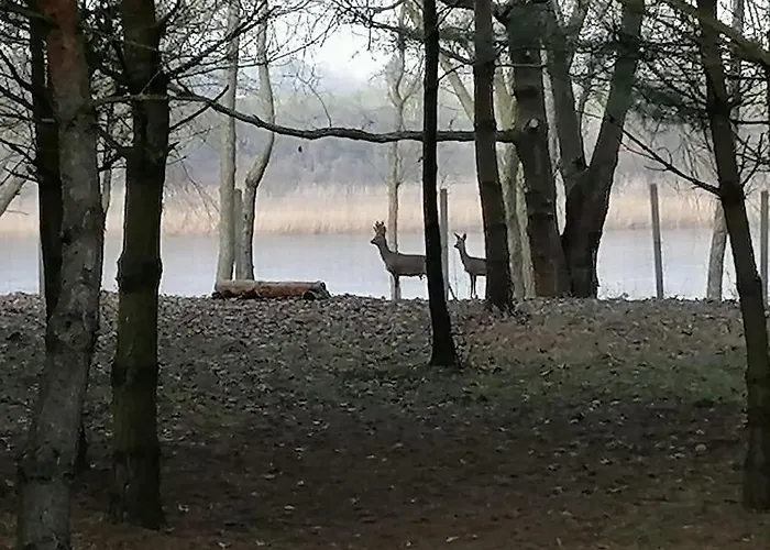 別荘 Swietna Nad Jeziorem Świętne