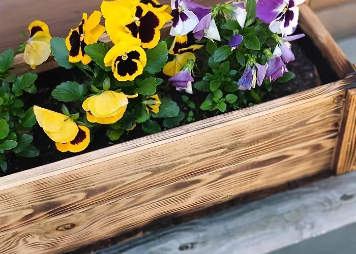 Swietna Nad Jeziorem 別荘 *