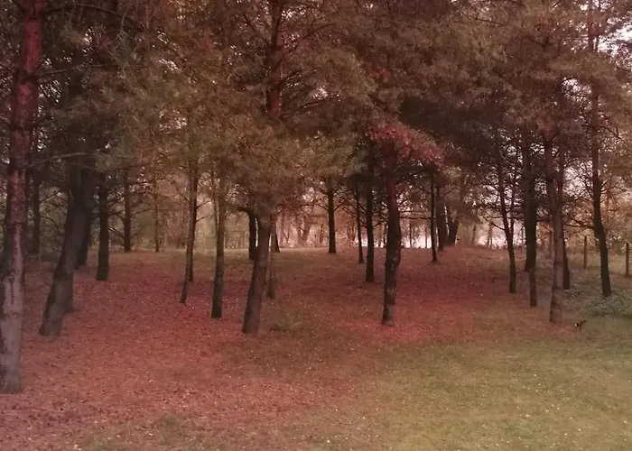 Swietna Nad Jeziorem * Świętne