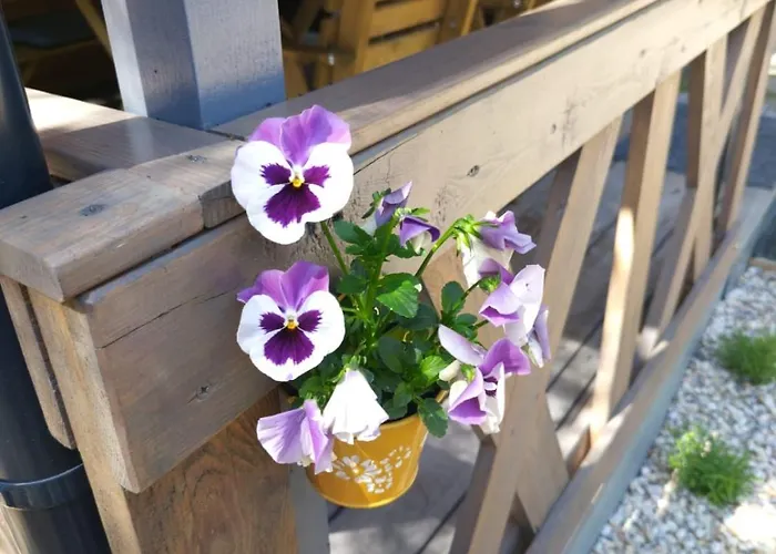 Swietna Nad Jeziorem * Świętne