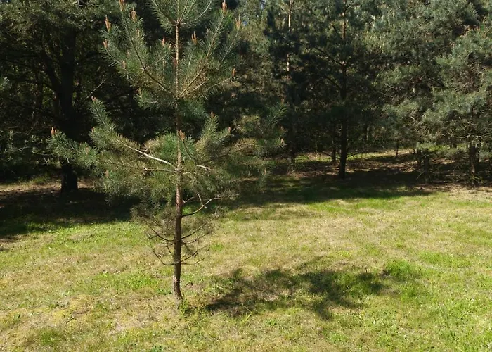 別荘 Swietna Nad Jeziorem Świętne