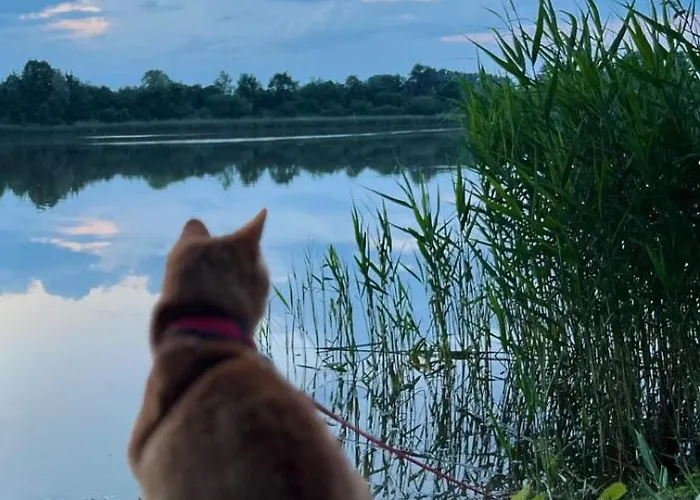 Swietna Nad Jeziorem