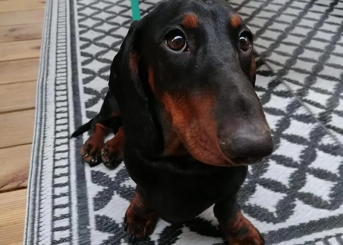 Swietna Nad Jeziorem 別荘